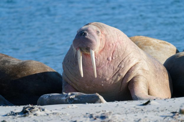 Day 1 – Practice Day: Wal’R’Us